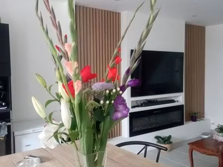 belle maison moderne a louer