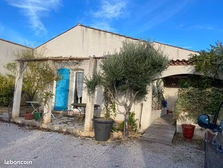 maison individuelle avec grand terrain