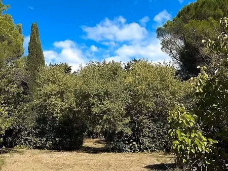 terrain à bâtir - castelnau-le-lez