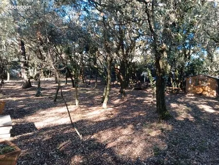 terrain constructible sur castries 1100 m2 constructible