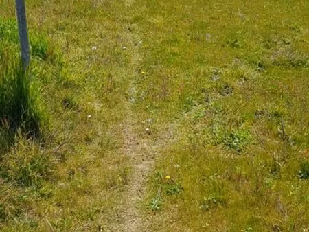 terrain constructible viabilisé le mans