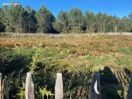 970m2 centre bourg  vue fôret. au calme. 3km plage. 2 min pied commerces