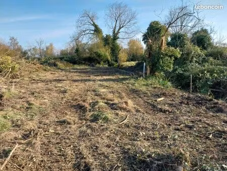 terrain 300 m² notre dame de monts