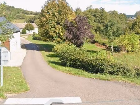 terrain centre village avec 5 sources d'eaux en zone humide