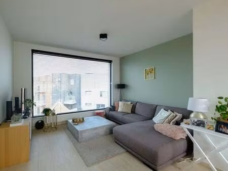 appartement à louer à zele € 850 (lk0p4) - huyzen lokeren | zimmo