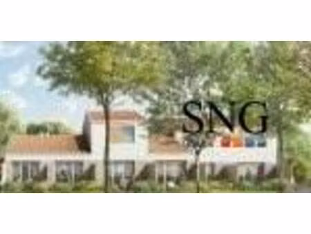 s.n.g immobilier