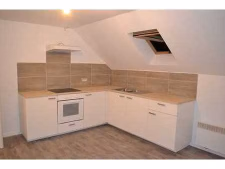 duplex rénové avec 1 chambre et grand jardin commun