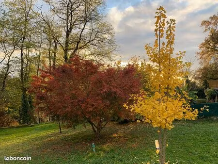 ancienne maison rénovée
