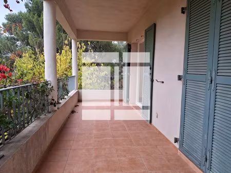 vente appartement 2 pièces 42 m² à patrimonio (20253)  155 000 €