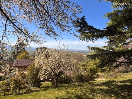 villa 9 pièces 290 m²