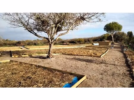 terrain dans les marais - jardin aux sables d'olonne