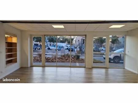 local professionnel commercial 60 m² pinsaguel