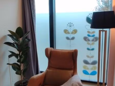 local professionnel à louer