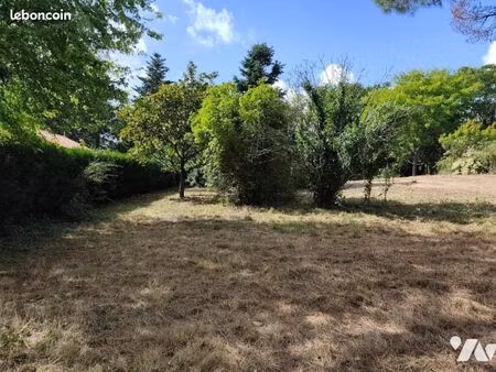 terrain 992 m² dompierre sur yon