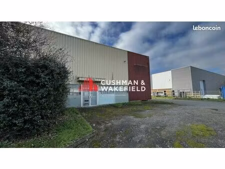 local d'activité 1 000 m²