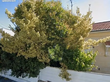 terrain 555 m² bordeaux