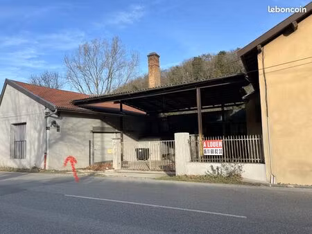 entrepot local activite maubec