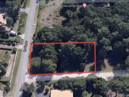 terrain arboré 962 m²- lège-cap-ferret - libre de constructeur