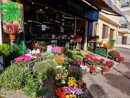 fond de commerce 77310