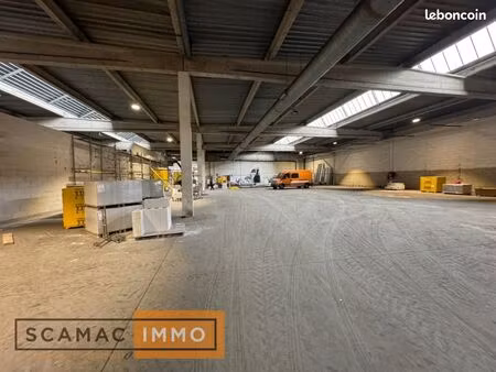 local d'activité 3 668 m²