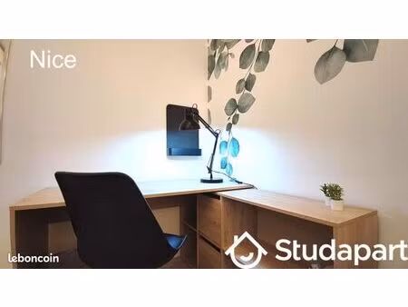 chambre 1 pièce 30 m²