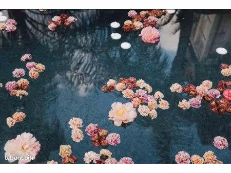 droit au bail fleuriste