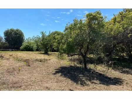 terrain cannes m² t- à vendre  245 000 €