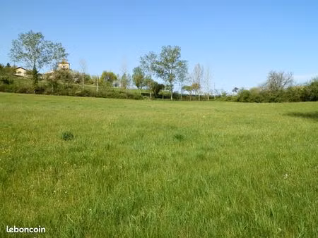 terrain constructible