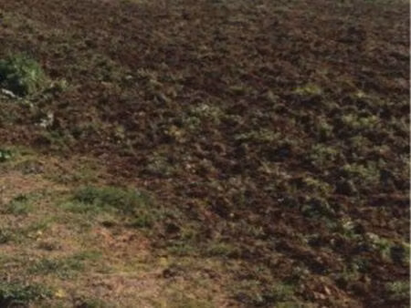 terrain agricole – prairie 5 500 m² – mauguio – zone a