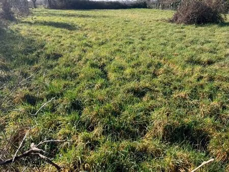 terrain constructible à vendre