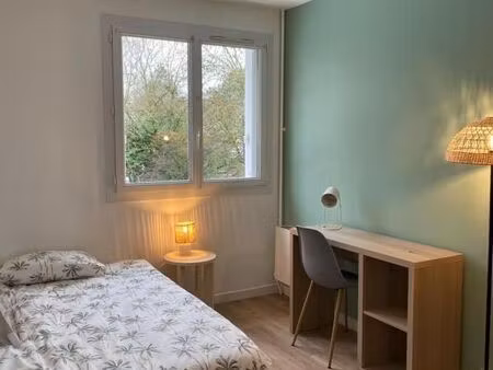 chambre 1 pièce 20 m²