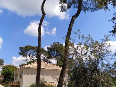 maison meublée 60 m2