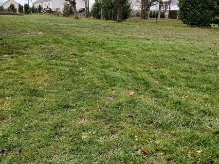 terrain constructible