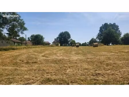 terrain constructible