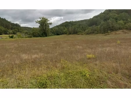 vente terrain 1155 m² à castels (24220)  53 000 €