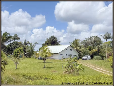 a vendre a sinnamary une magnifique maison t4 de 193 m² superficie terrain 6 hectares - au