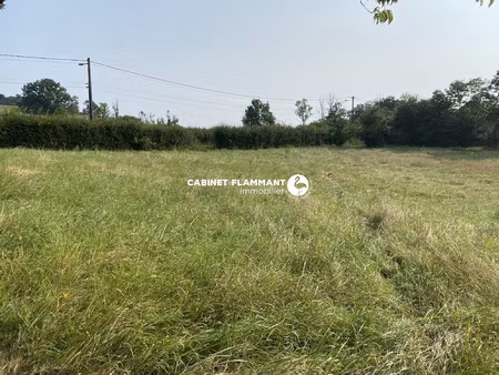 terrain constructible