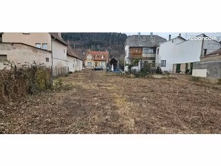 terrain constructible