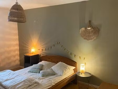 grand t2 meublé de 66 m2 - blotzheim