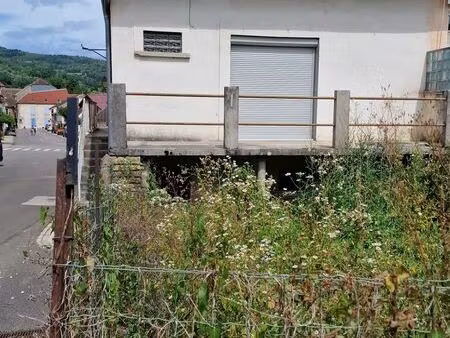 maison à rénover avec jardin