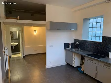 charmant studio 25m2 + mezzanine