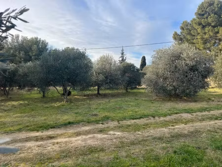 vente terrain 543 m² à saint-chamas (13250)  208 000 €