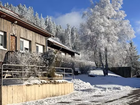 vente immeuble 546 m² à gerardmer (88400)  840 000 €
