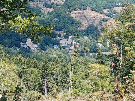 parcelle boisée direction le mas de la barque