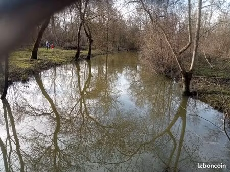 terrain de loisirs avec étang