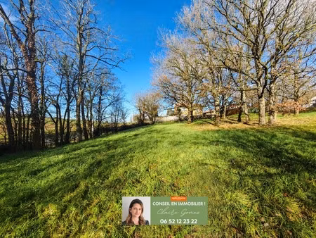 terrain à vendre de 1 317 00 m² le grès (31)