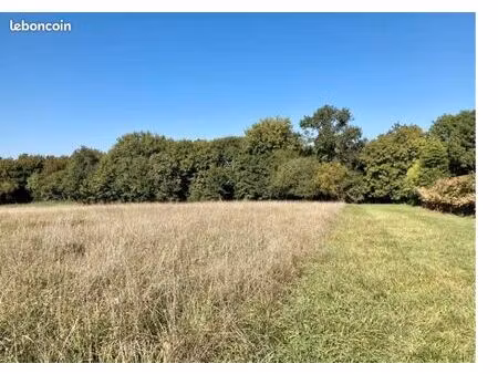 terrain 950 m² bouliac