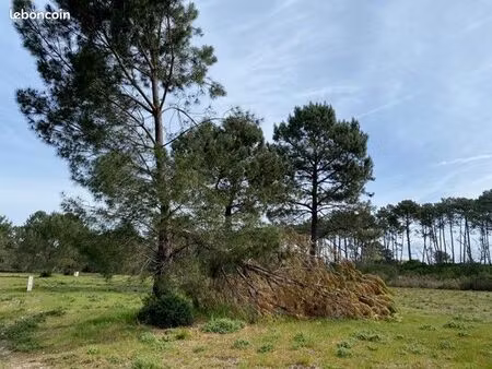 terrain 745 m² mios