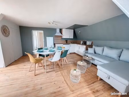 t3 hypercentre meublé wifi netflix local privé