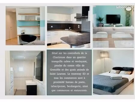 magnifique appartement rénové – lumineux  traversant et vue exceptionnelle sur la chartreu